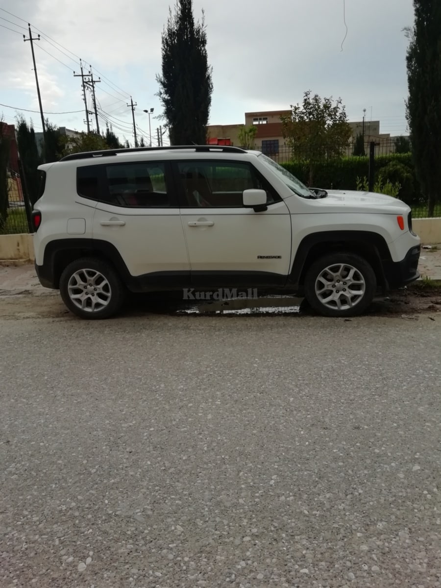 Jeep rengad جیپ 1