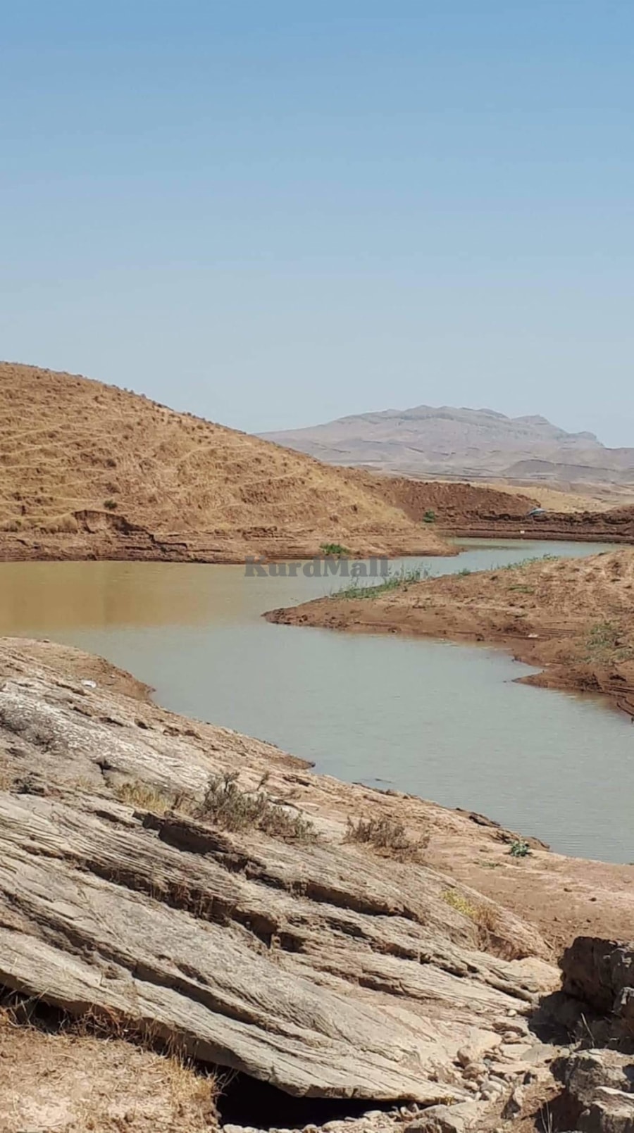 ٤ دۆنم زەوی تاپۆ لە کۆیە گوندی شیلە بۆ فرۆشتن  4