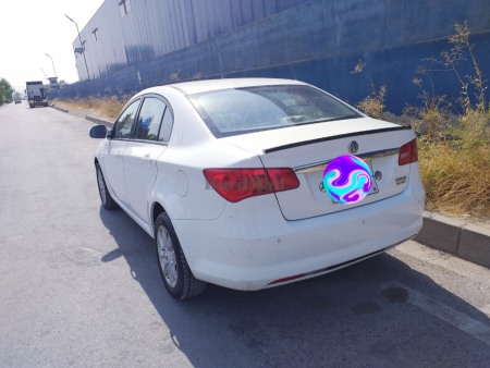 Mg   2012