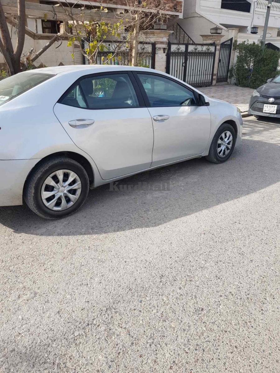 بيكاشؤ ئةمةريكى تۆیۆتا 1